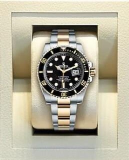 The gold and steel Submariner is more luxurious.